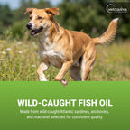 Vetoquinol Triglyceride Omega - Aceite de Pescado para Perros y Gatos - 250 Cápsulas