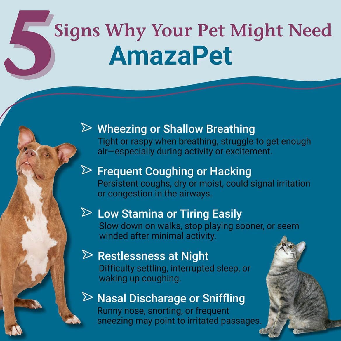 AmazaPet – Comprimidos para la tos y el soporte respiratorio en perros y gatos (180 comprimidos)