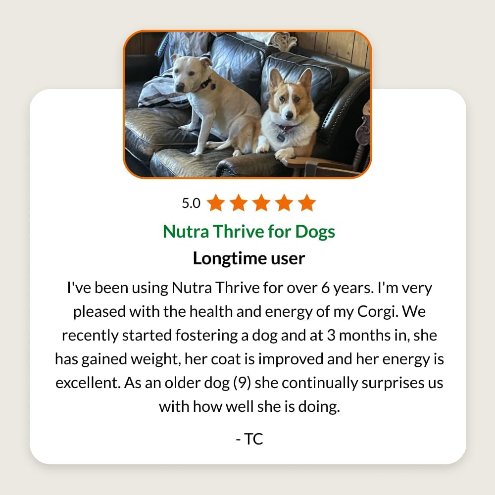 Ultimate Pet Nutrition Nutra Thrive Canine, Suplemento Nutricional en Polvo 40-en-1 para Perros
