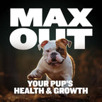 Bully Max 2-en-1 Vitaminas para Cachorros, 75 Masticables Suaves para Inmunidad y Crecimiento - Suplemento Multivitamínico para Perros con Probióticos y Calostro