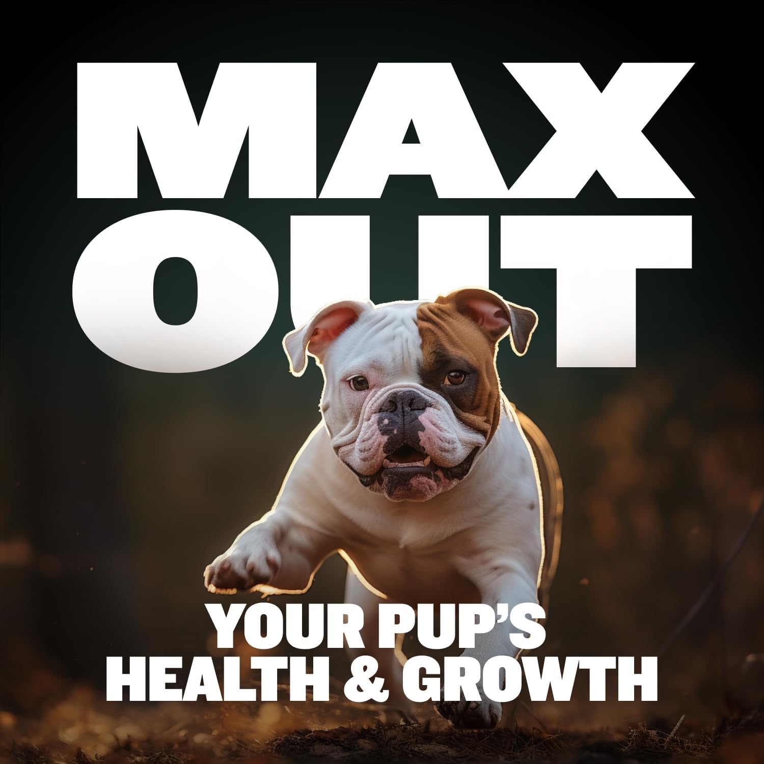 Bully Max 2-en-1 Vitaminas para Cachorros, 75 Masticables Suaves para Inmunidad y Crecimiento - Suplemento Multivitamínico para Perros con Probióticos y Calostro
