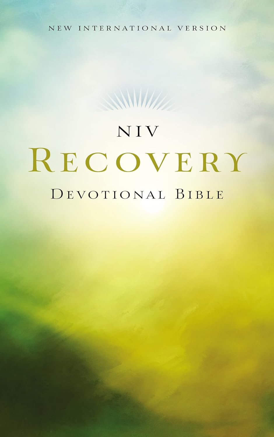 NIV Recovery Bible, Devotional, Paperback