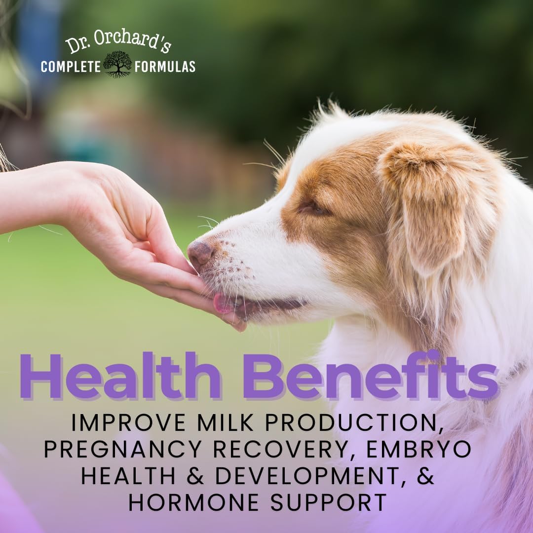 Dr Orchards Pregnancy Pro Vitaminas prenatales para perros - Suplemento premium para embarazo, lactancia y salud del cachorro, 90 comprimidos