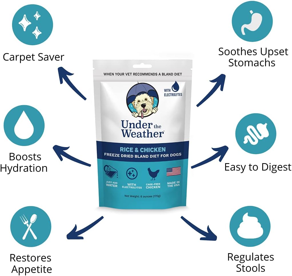 Under the Weather Dieta Blanda para Perros - 6 Paquetes Multisabor - 170g cada uno