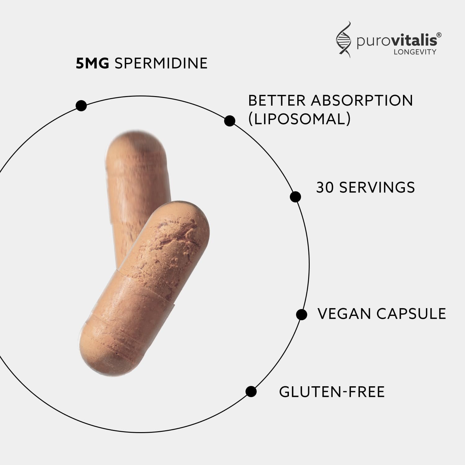 PUROVITALIS Spermidina Liposomal 5mg con Zinc, Vitamina D3 y B12 - 30 Cápsulas Veganas