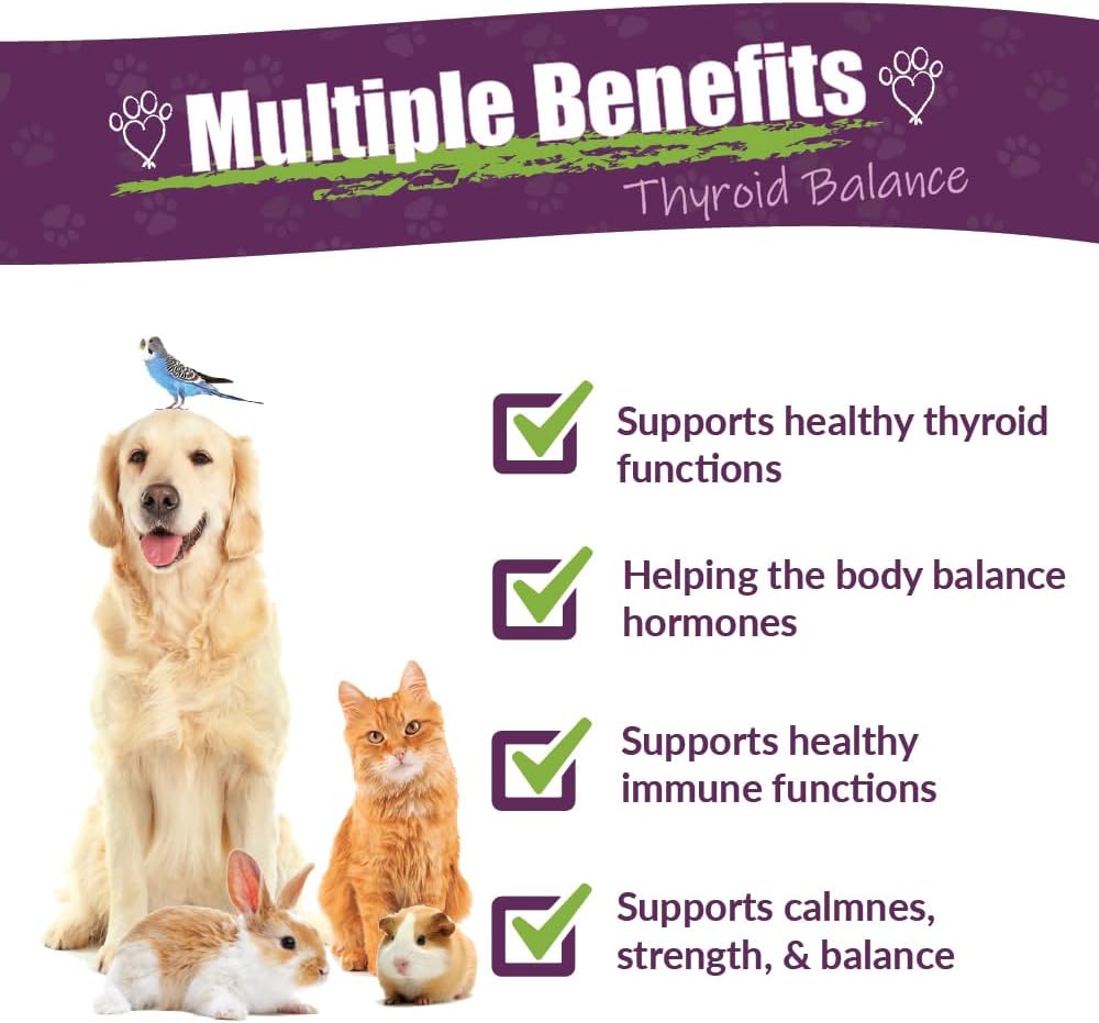 Amber NaturalZ TYD Thyroid Balance - Suplemento herbal para tiroides en mascotas