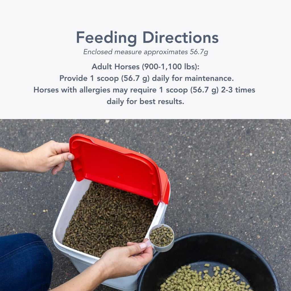 MVP Air-Way EQ - Suplemento respiratorio para caballos, 2.27 kg (40 raciones)
