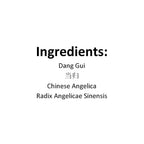 XYP Danggui Dang Gui 100g