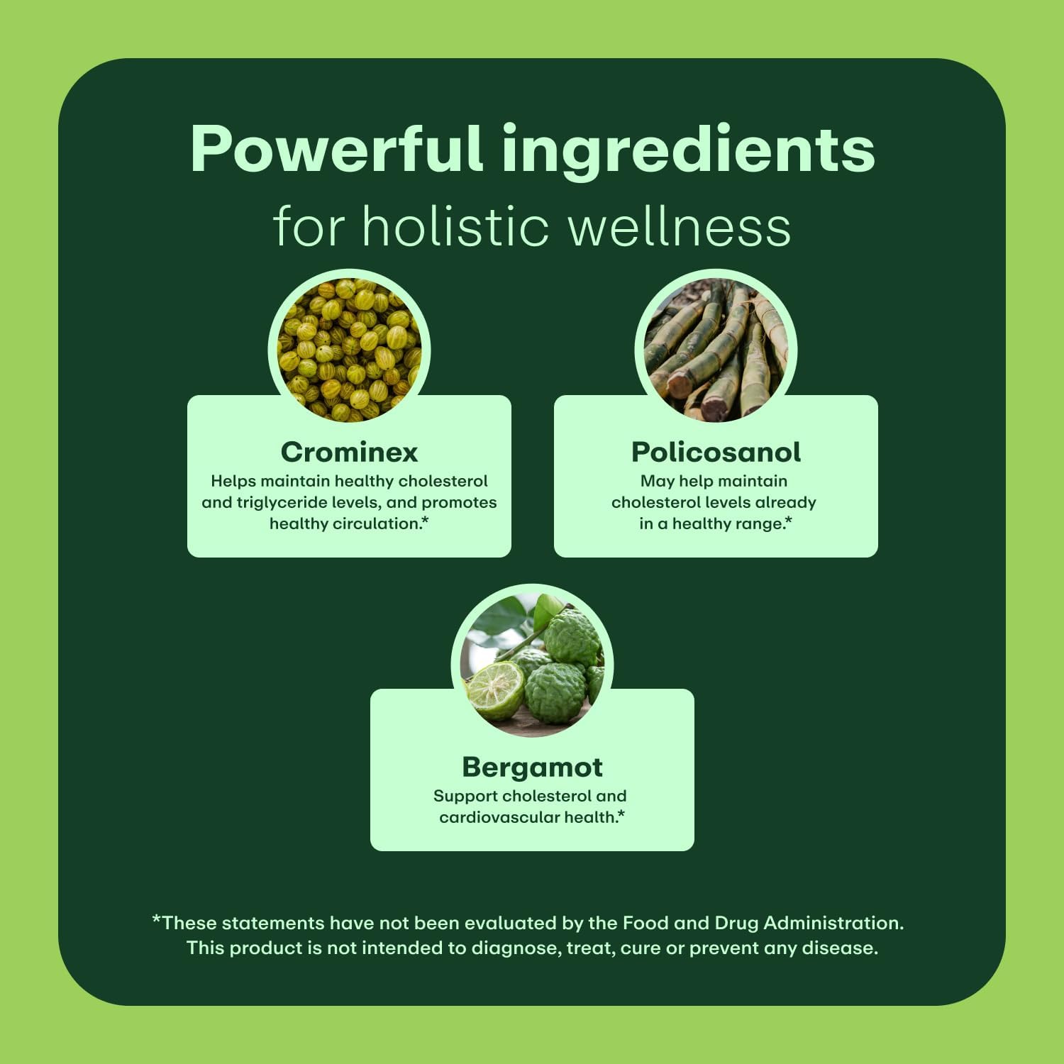 WellWithAll Cholesterol Support | Suplemento para el Colesterol con Bergamota, Policosanol y Crominex 3+ | 60 Cápsulas