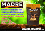 Madre Vitamina para Gallinas y Gallos - Producción Saludable de Huevos y Fertilidad, 240 g