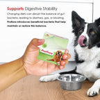 Proflora Probióticos y Prebióticos Diarios para Perros - 30 Sobres en Polvo