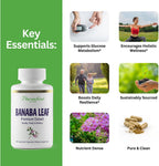 Paradise Herbs, Banaba Leaf, 12:1 Concentrated Extract, 250 mg, 180 Cápsulas