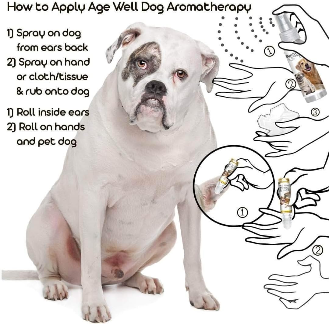 The Blissful Dog American Bulldog Age Well – Aromaterapia para Perros