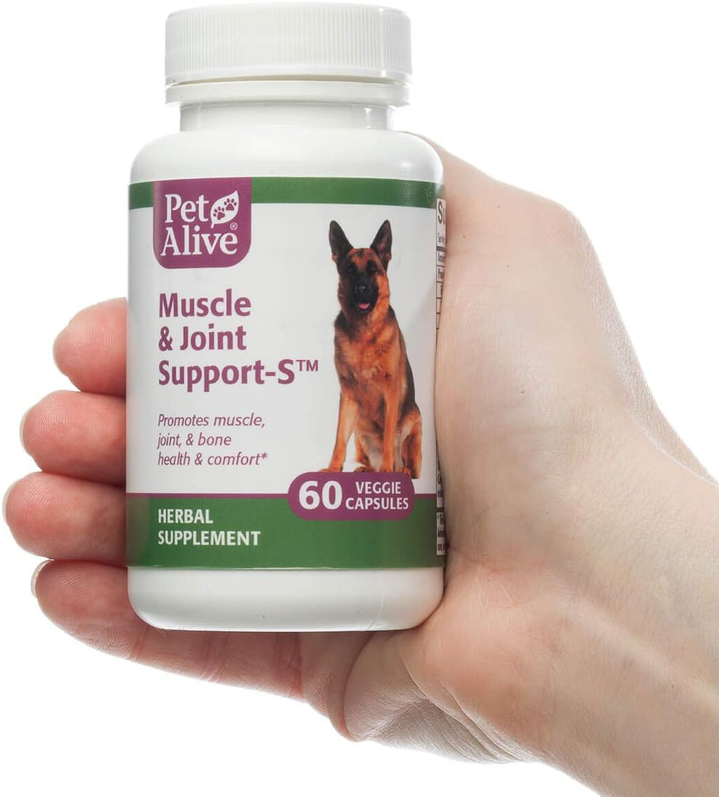 PetAlive Muscle and Joint Support-S 2 Pack - Suplemento herbal para perros y gatos