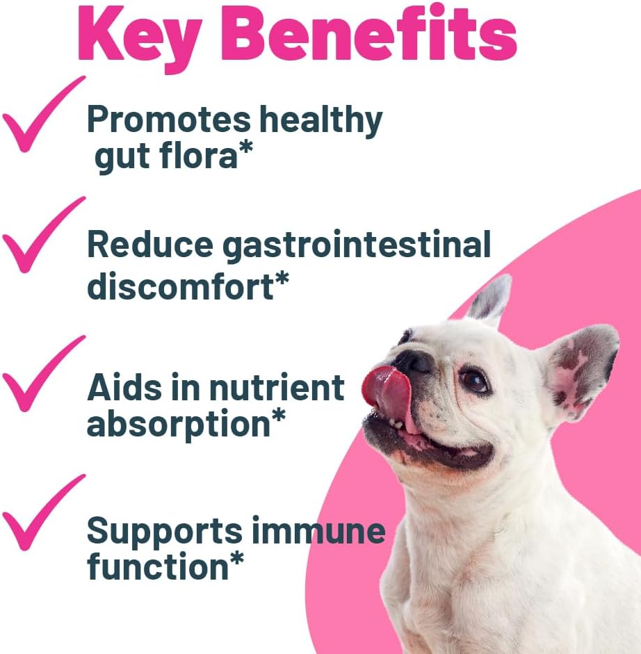 Probiótico + Prebiótico en Polvo para Perros – 7 Cepas Probióticas con FOS Prebiótico, Apoya la Flora Intestinal, Salud Digestiva e Inmunitaria, 5 Mil Millones de UFC por Cacito