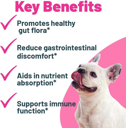 Probiótico + Prebiótico en Polvo para Perros – 7 Cepas Probióticas con FOS Prebiótico, Apoya la Flora Intestinal, Salud – Image 2