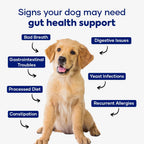 Probióticos para Perros Aniwell – Masticables Blandos con Tocoferoles Mixtos | Apoyo Digestivo y Alergias Estacionales