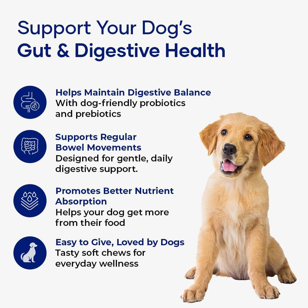 Probióticos para Perros Aniwell – Masticables Blandos con Tocoferoles Mixtos | Apoyo Digestivo y Alergias Estacionales
