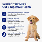 Aniwell Probióticos Masticables para Perros – Pack de 2