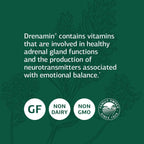 Standard Process Drenamin - 360 Comprimidos - Apoyo a la Función Suprarrenal, Sistema Inmunitario y Energía