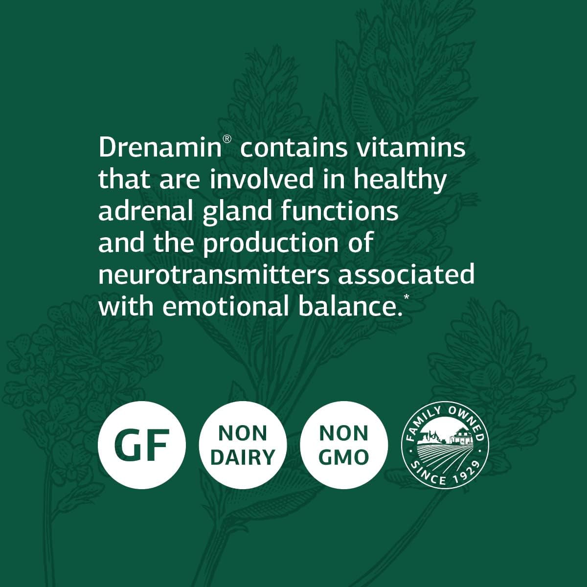 Standard Process Drenamin - 360 Comprimidos - Apoyo a la Función Suprarrenal, Sistema Inmunitario y Energía