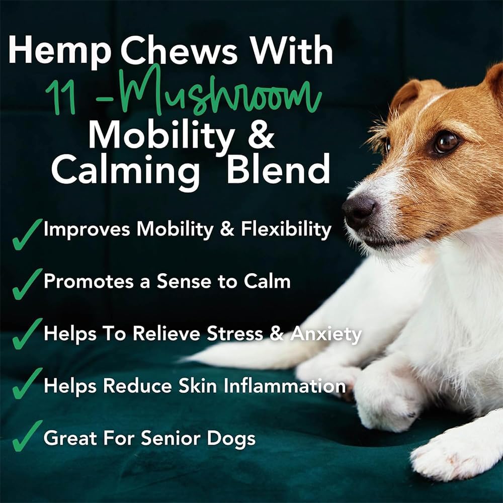 iHeartDogs Hemp Mushroom Chews – 60 Comprimidos con Cáñamo (10 mg por comprimido, 600 mg total)