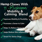iHeartDogs Hemp Mushroom Chews – 60 Comprimidos con Cáñamo (10 mg por comprimido, 600 mg total)