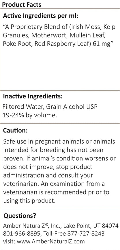 Amber NaturalZ TYD Thyroid Balance – Irish Moss : Alga rica en minerales que contribuye al aporte de yodo. – Image 7