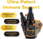 Natural Bee Propolis Extract, 30 mL, Advanced Liquid Tincture Immune System Booster and Seasonal Defense, Pure High Potency Herbal Supplement, Non-GMO and Alcohol Free (1 Pack)