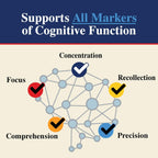 Nature's Nutrition Gominolas para el Cerebro - 3X Fuerza con Fosfatidilserina, B6, B12 y Nootrópicos para Memoria, Enfoque y Concentración - 60 Gominolas