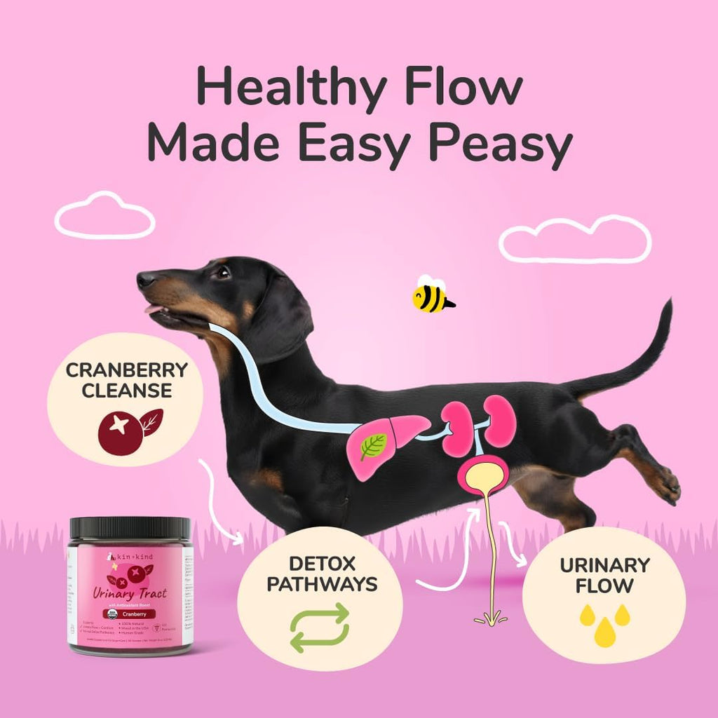 kin+kind Suplemento de apoyo inmunológico para perros y gatos - 227 g (8 oz)