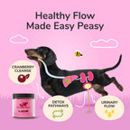 kin+kind Suplemento de apoyo inmunológico para perros y gatos - 227 g (8 oz)