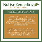 Native Remedies Inflam Dr. - Suplemento Herbal Natural para una Respuesta Inflamatoria Saludable - Ayuda a Combatir el Estrés Oxidativo - 60 Cápsulas Vegetales