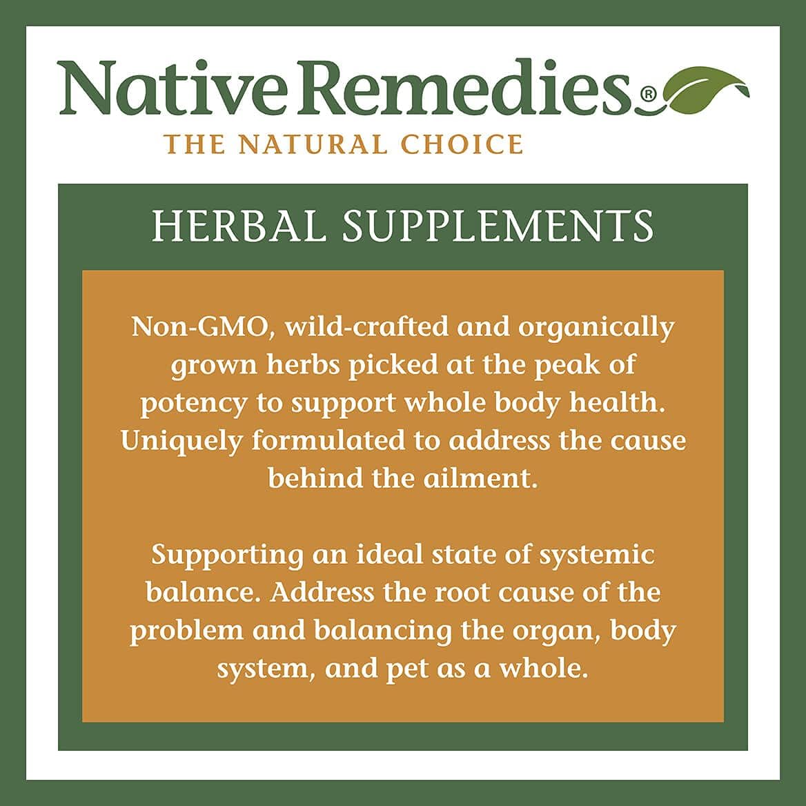 Native Remedies Inflam Dr. - Suplemento Herbal Natural para una Respuesta Inflamatoria Saludable - Ayuda a Combatir el Estrés Oxidativo - 60 Cápsulas Vegetales