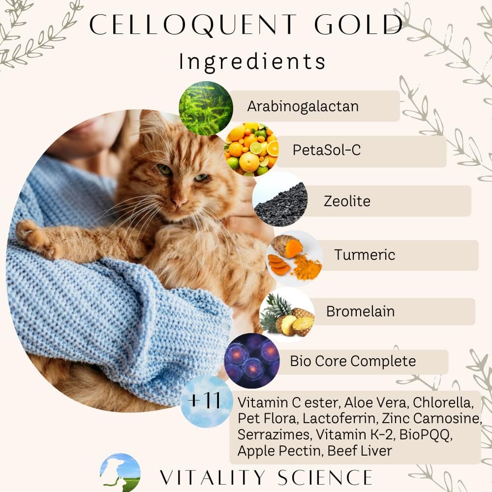 Vitality Science Celloquent Gold para Perros | Suplemento Inmunológico Holístico Avanzado | 17 Ingredientes Probados | 220 g