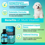 Welsdom Suspensión Multivitamínica Completa para Perros - 240 ml | Apoya la Piel, el Pelaje, los Huesos y el Sistema Inmunitario