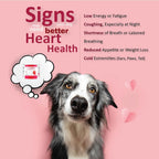 CARDIOMAX Suplemento de Apoyo Cardíaco para Perros - Antioxidantes, L-Taurina, CoQ10 - 60 Masticables Blandos