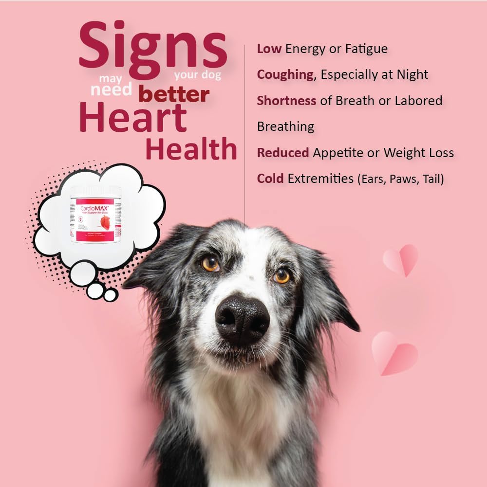 CARDIOMAX Suplemento de Apoyo Cardíaco para Perros - Antioxidantes, L-Taurina, CoQ10 - 60 Masticables Blandos
