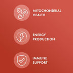 Dr. Mercola Glutatión Liposomal - 350 mg por Ración - 60 Cápsulas
