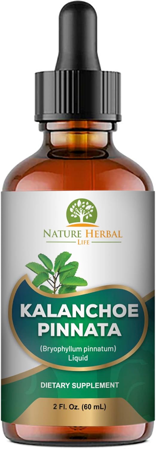 Kalanchoe Pinnata (Bryophyllum Pinnatum) Glicerita - Extracto Líquido de Hojas y Tallos - Suplemento Herbal Antioxidante - 60 ml