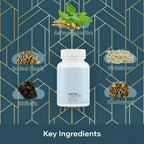 Surge Maxs - Cápsulas con Shilajit, Ashwagandha, Gokshura y Safed Musli - 60 Cápsulas