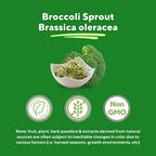 Vitapia Brócoli Germinado y Extracto de Brócoli Orgánico con Sulforafano - 120 Cápsulas Vegetales