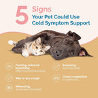 Cold Symptom Support for Cats & Dogs | Natural Formula Safely Aids with Colds, Seasonal Allergies & Kennel Cough | Helps Open Airways for Easy Breathing
