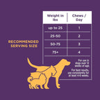 Dog Multivitamin Soft Chews - 120ct - Natural Rapport