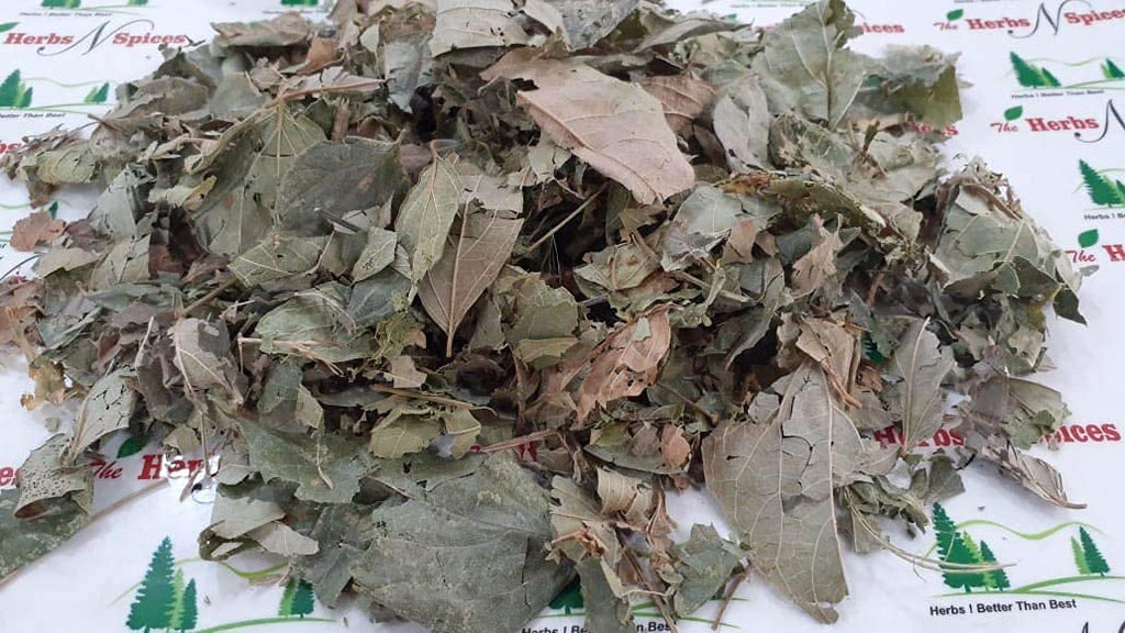 Metrol Polvo de Hojas de Parijat (Harsingar) - Nyctanthes Arbor-tristis - 100g