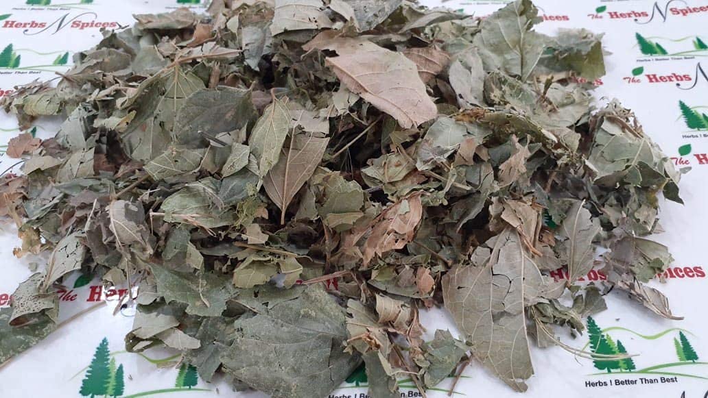 Metrol Polvo de Hojas de Parijat (Harsingar) - Nyctanthes Arbor-tristis - 100g