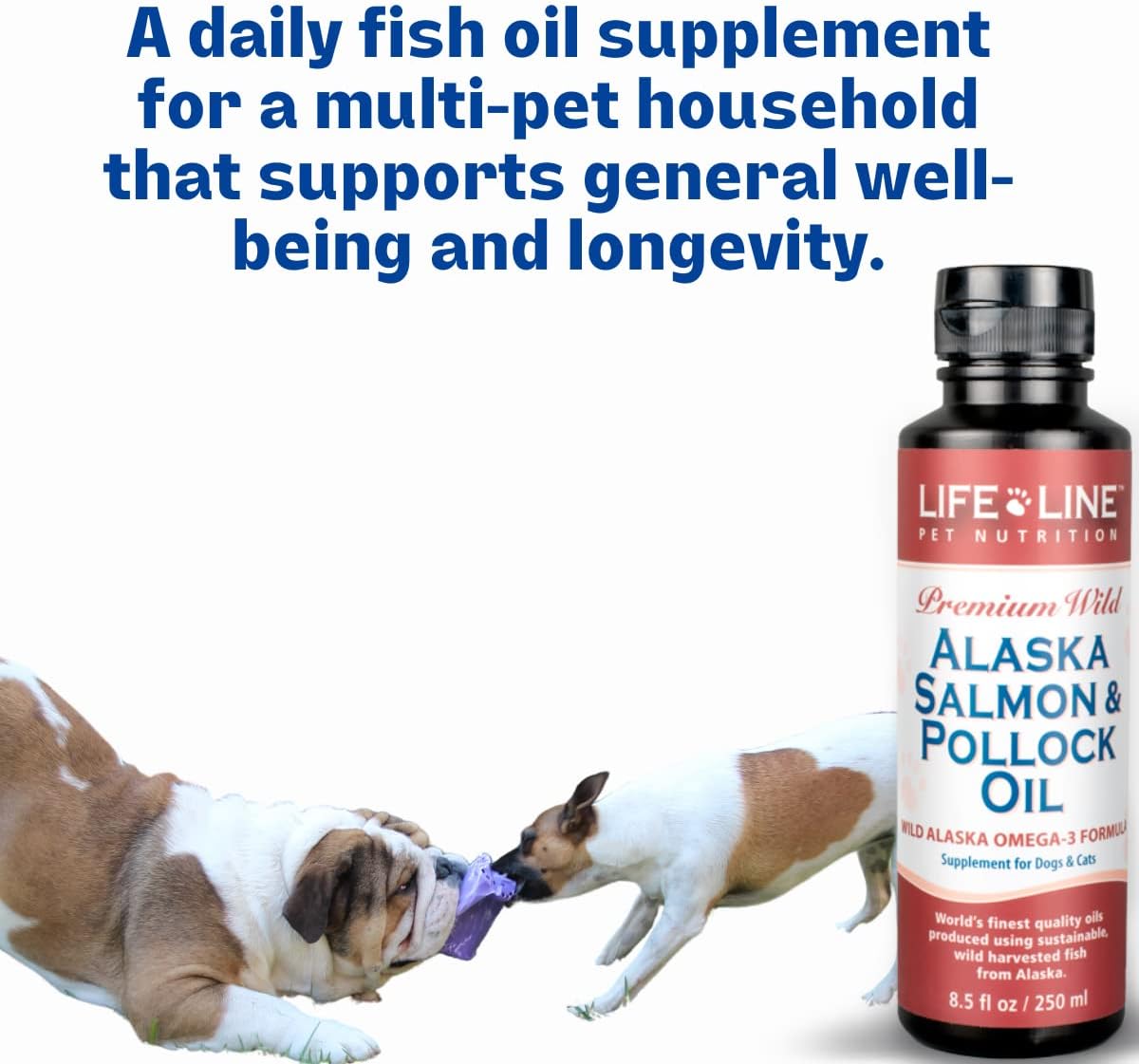 Life Line Pet Nutrition Aceite de Salmón y Pollock de Alaska Salvaje - Suplemento de Omega 3 para Perros y Gatos en Todas las Etapas de la Vida, 66 oz líquidas