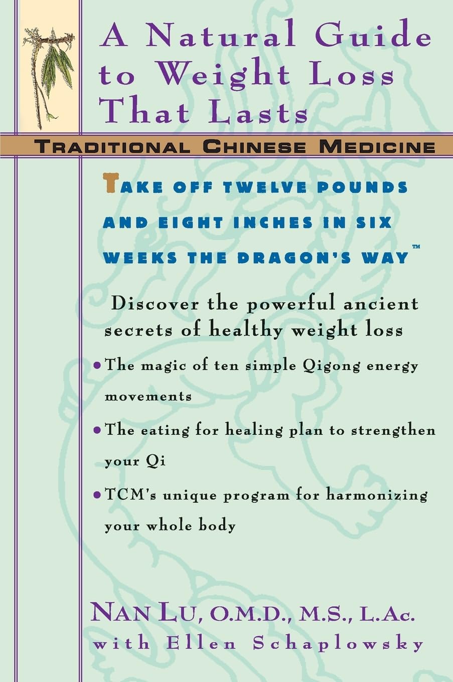 MTC: Una guía natural y duradera para la pérdida de peso (Medicina Tradicional China)