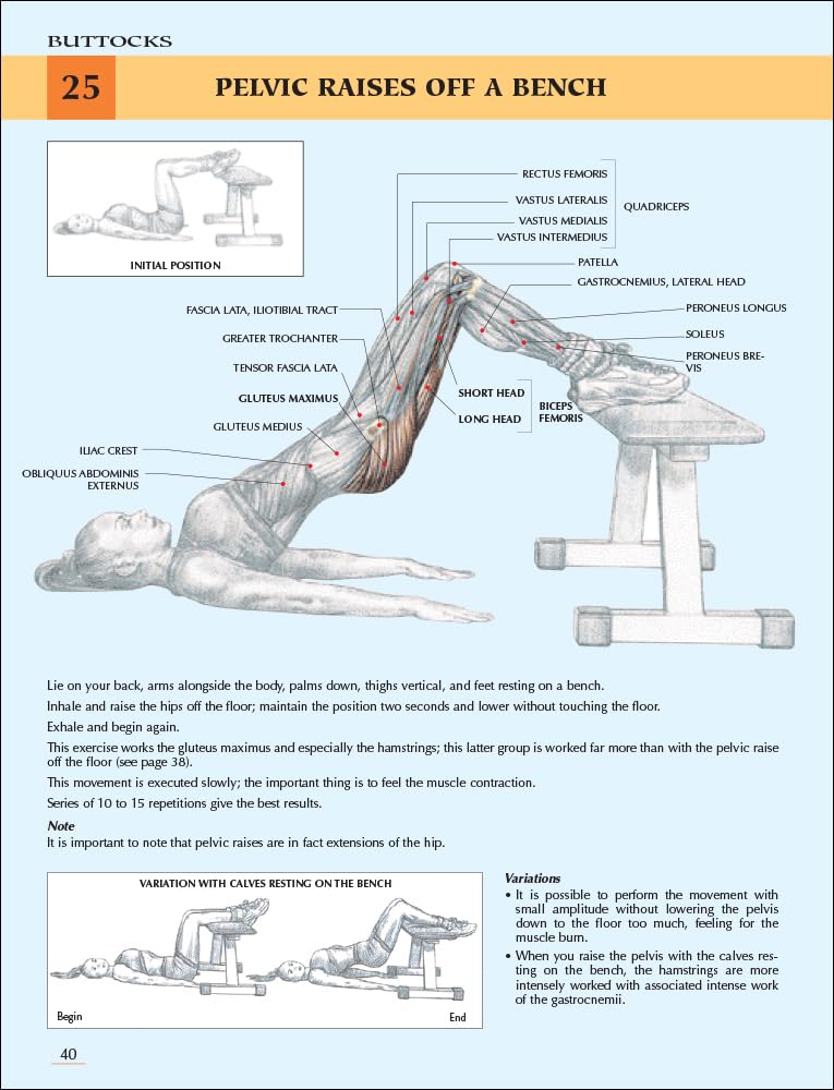 Anatomía del entrenamiento de fuerza para mujeres