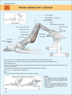 Anatomía del entrenamiento de fuerza para mujeres